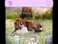/album/csak-ugy-/jacob-and-reneesme-jpg/